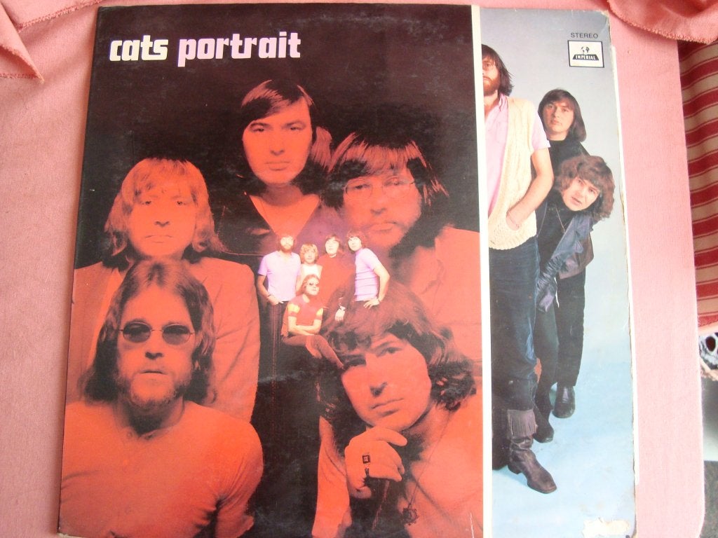Cats portait, Ophalen of Verzenden, Zo goed als nieuw, 12 inch