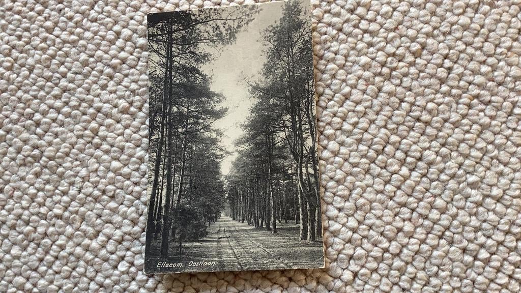 Ansichtkaart Ellecom Oostlaan 1913. 971, Ophalen of Verzenden, Voor 1920, Gelopen, Gelderland
