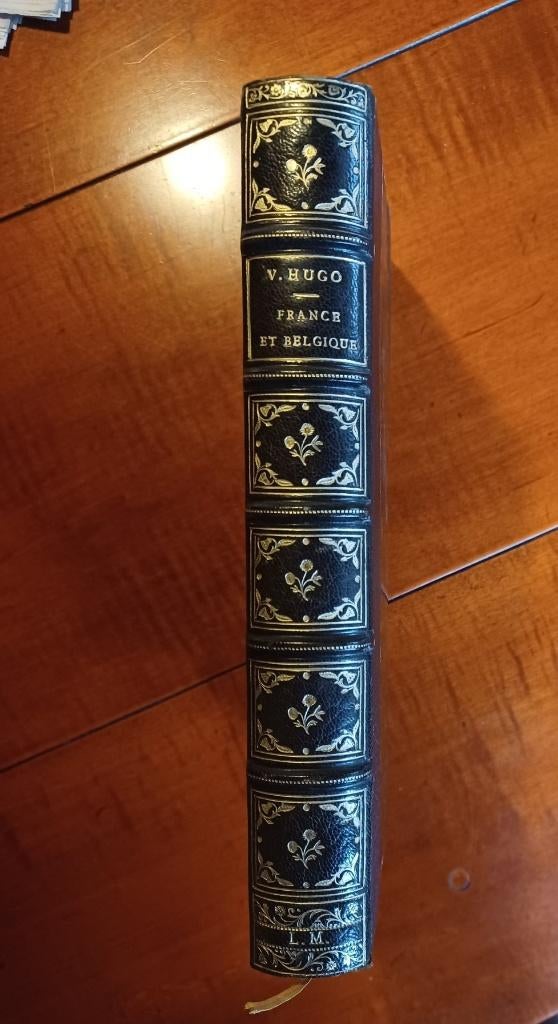 Victor Hugo - En voyage: France et Belgique, Ophalen of Verzenden, Zo goed als nieuw