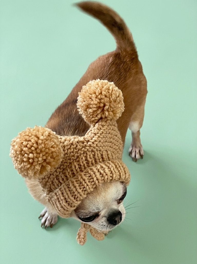 Handgemaakte gebreide muts voor honden van kleine rassen, Overige merken, Verzenden, Nieuw, Overige typen