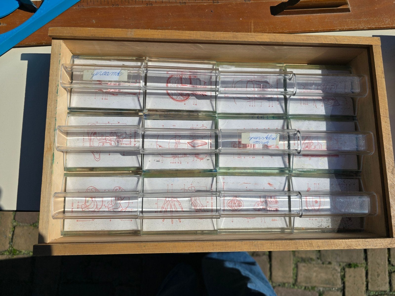 Vintage oude stempels van het menselijk lichaam opbergkist., Ophalen of Verzenden