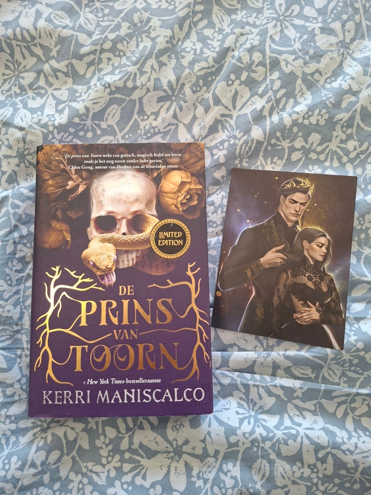 De Prins van Toorn - Kerri Maniscalco (Eerste druk), Boeken, Verzenden, Nieuw, Kerri Maniscalco