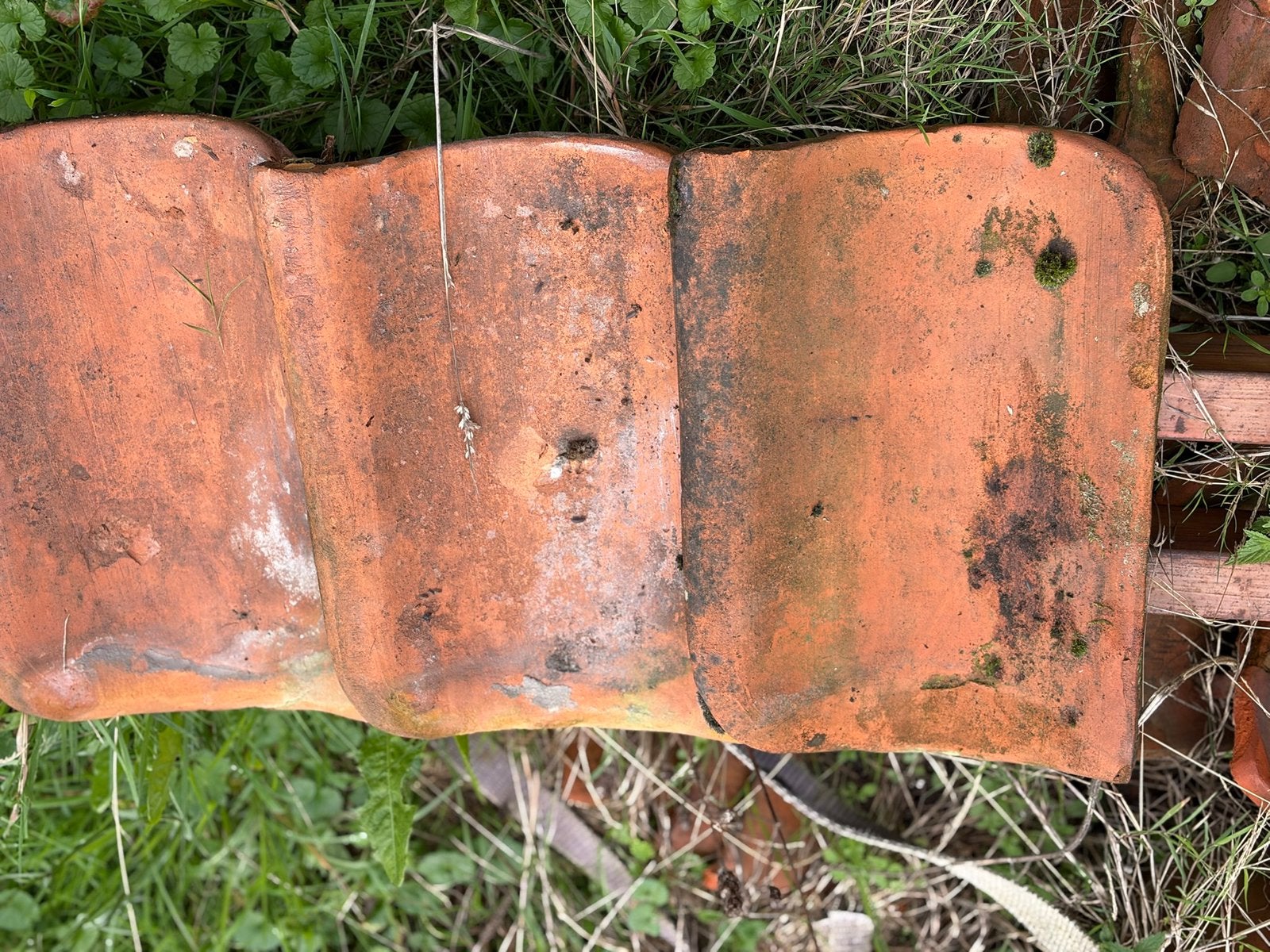Patij oud hollandse dakpannen., Ophalen, Gebruikt, Steen of Klei, 15 m² of meer