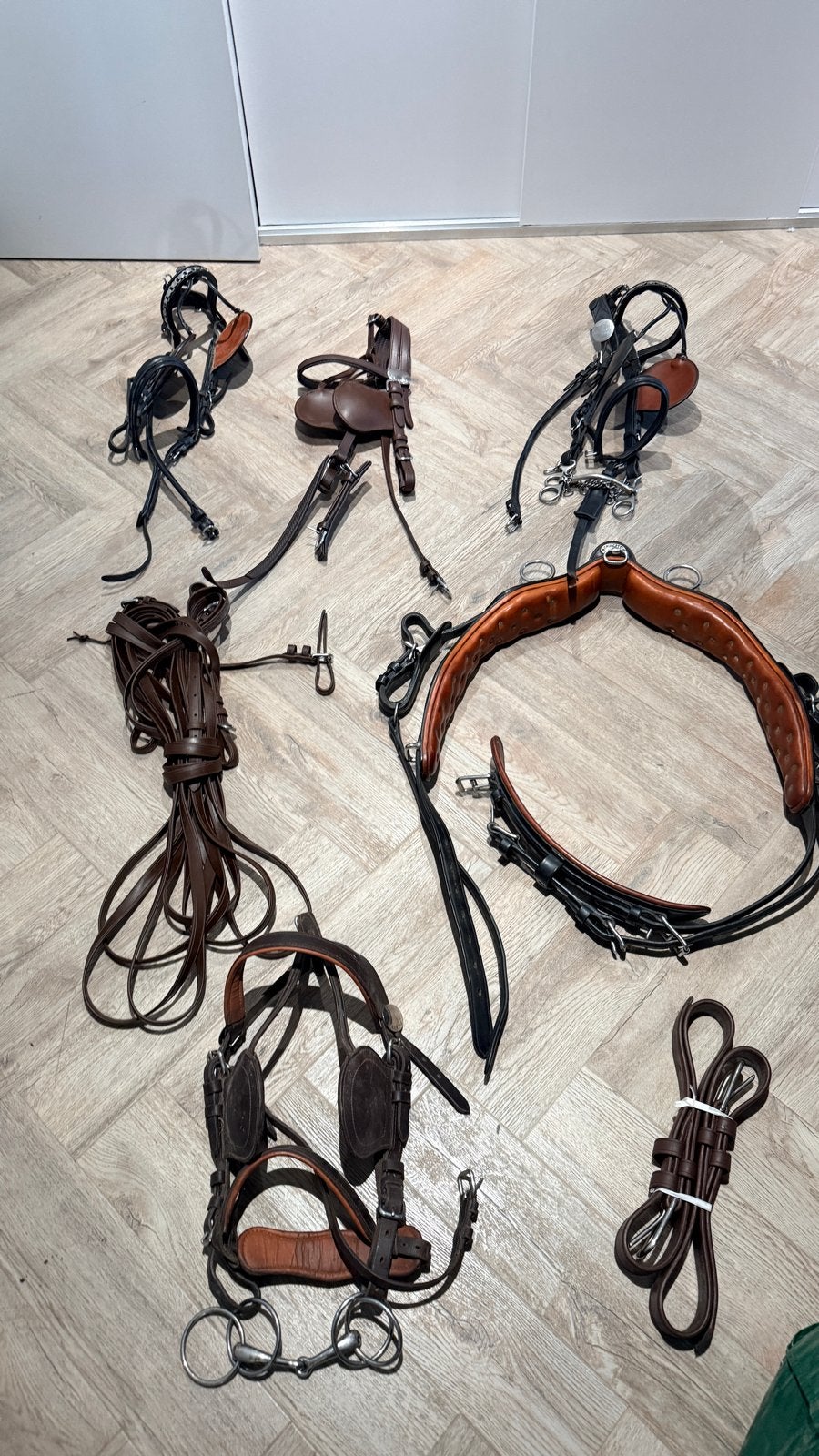 Men tuig hoofdstellen leidsels enz, Ideal Equestrian, Overige disciplines, Ophalen of Verzenden, Zo goed als nieuw