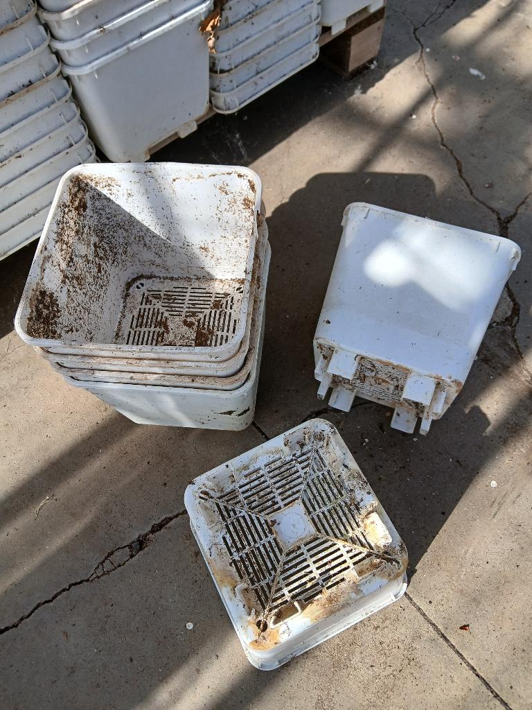 vierkante plastic Bato potten,, Tuin en Terras, Bloempotten, Gebruikt, Kunststof, Binnen, Balkon, Tuin, Minder dan 40 cm, Minder dan 25 cm