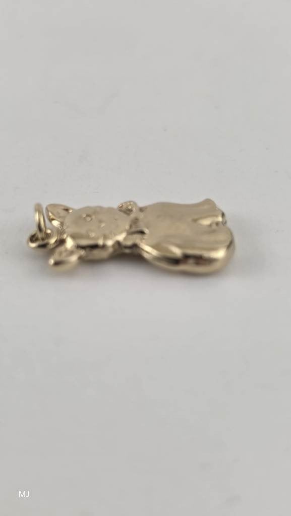 Gouden hanger poes                                       G47, Gebruikt, ., Ophalen of Verzenden, .