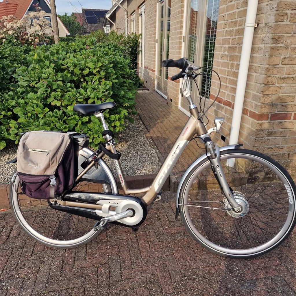 Giant Twist Go Double power met 2 goede accu's, Ophalen, Gebruikt, Giant, 51 tot 55 cm