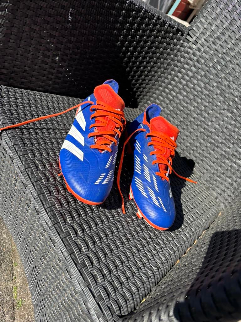 Voetbal schoenen predator 43, Ophalen, Schoenen, Maat L, Zo goed als nieuw