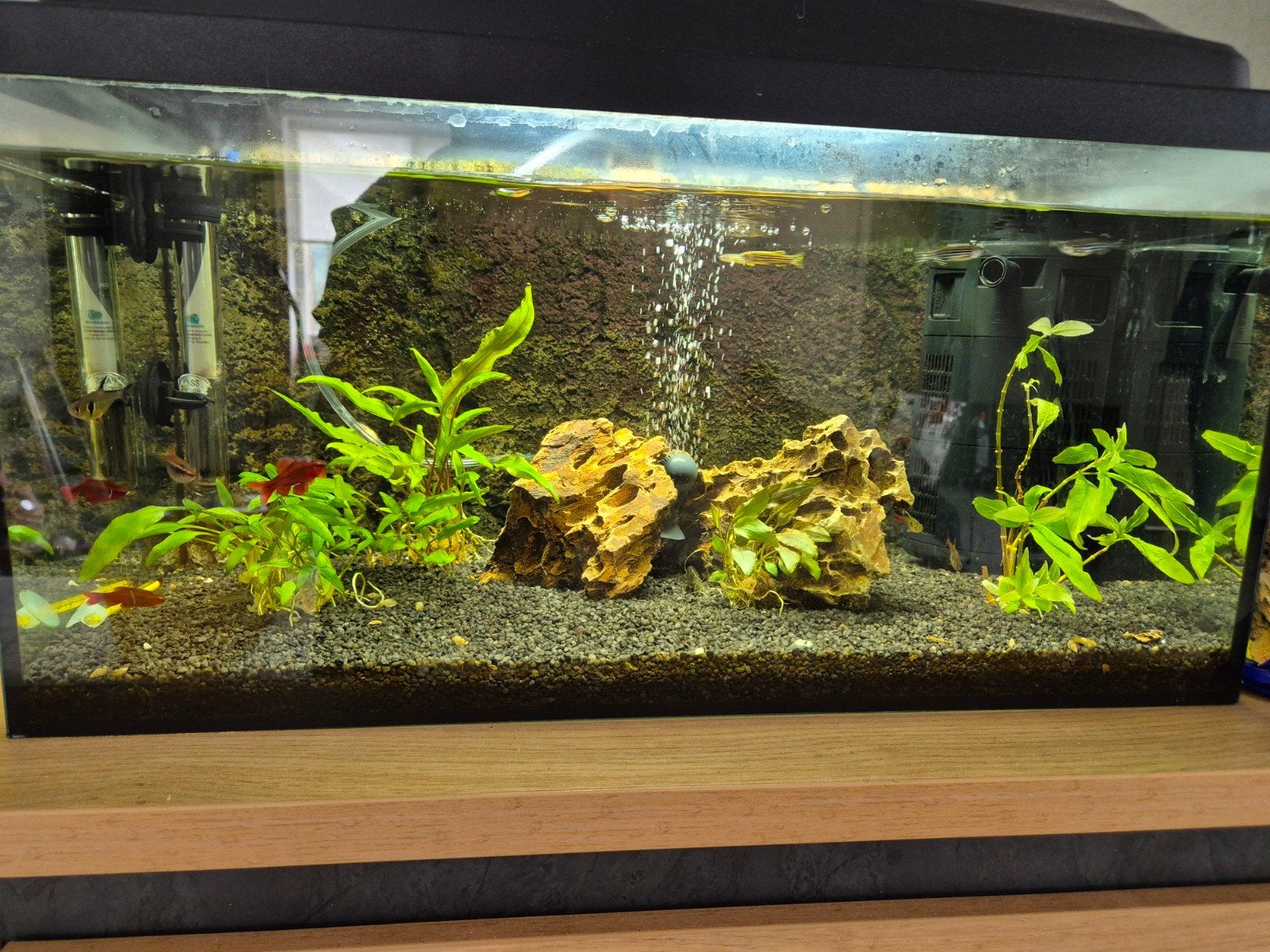 Aquarium compleet, Gebruikt, Overige merken, Ophalen of Verzenden, Gevuld zoetwateraquarium