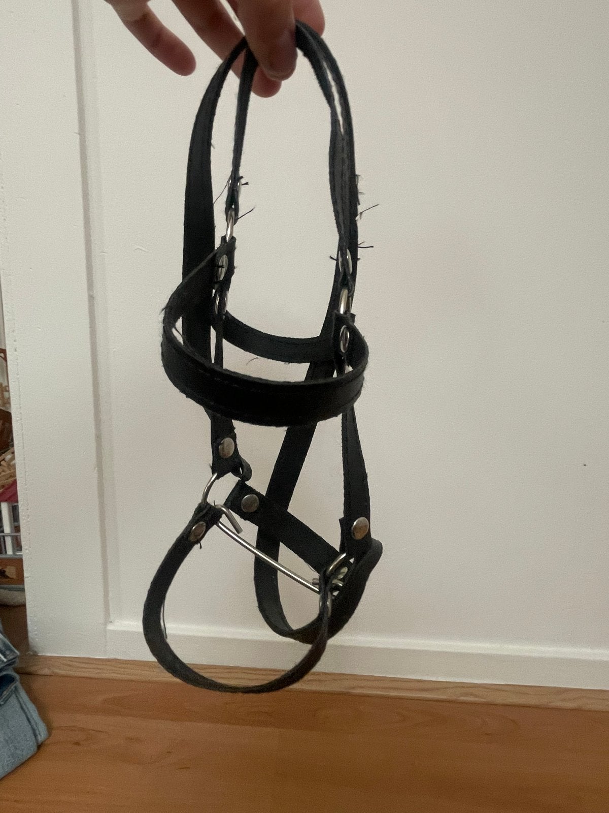 Hoofdstel voor hobbyhorse, Ophalen of Verzenden
