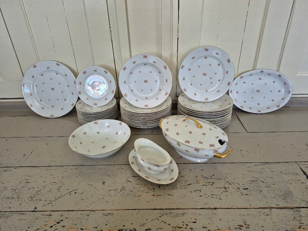 Antiek Victoria China Czechoslovakia dinerservies, Ophalen