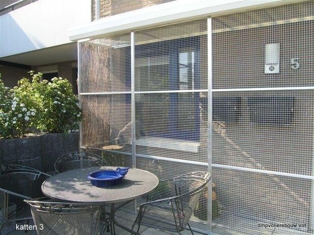 katten ren, Dieren en Toebehoren, Ophalen, Nieuw