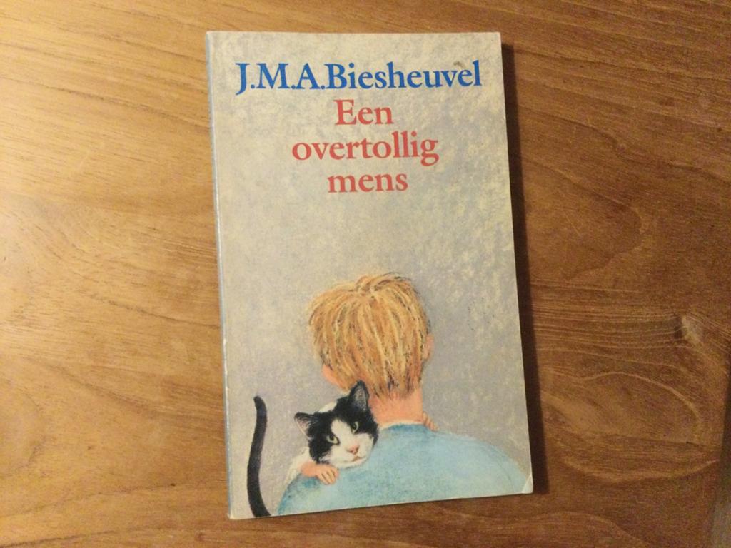 J.M.A. Biesheuvel, Een overtollig mens, Ophalen of Verzenden, Gelezen, J.M.A. Biesheuvel