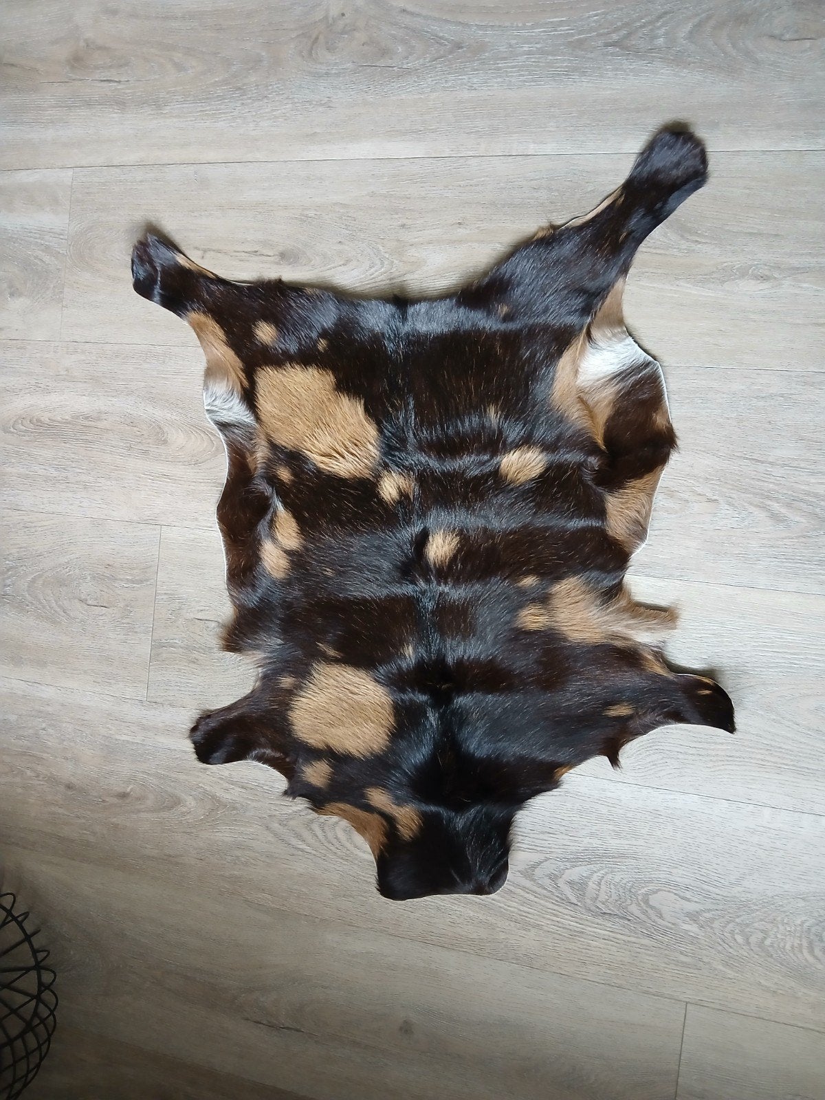 Geitenvel - Decoratief kleedje van geitenhuid, Gebruikt, 50 tot 100 cm, Bruin, Natuurlijk, Rustiek, Landelijk