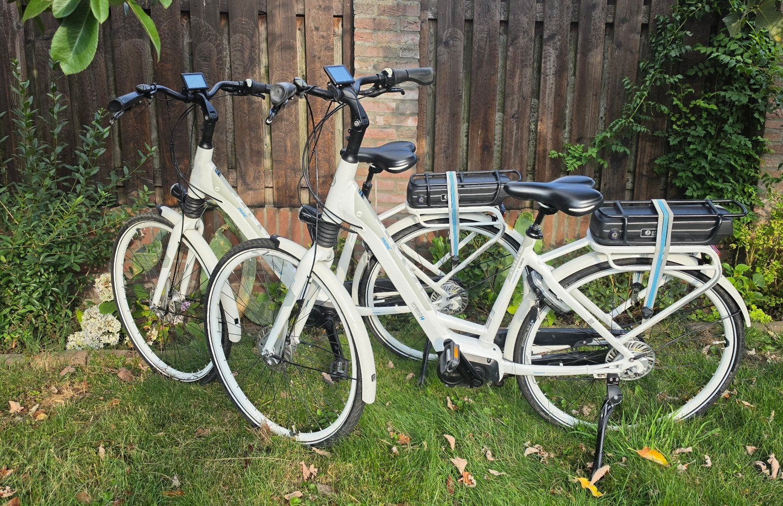 2x set Elektrische damesfietsen. Giant Prime E+. Middenmotor, Zo goed als nieuw, 51 tot 55 cm, 50 km per accu of meer, Giant