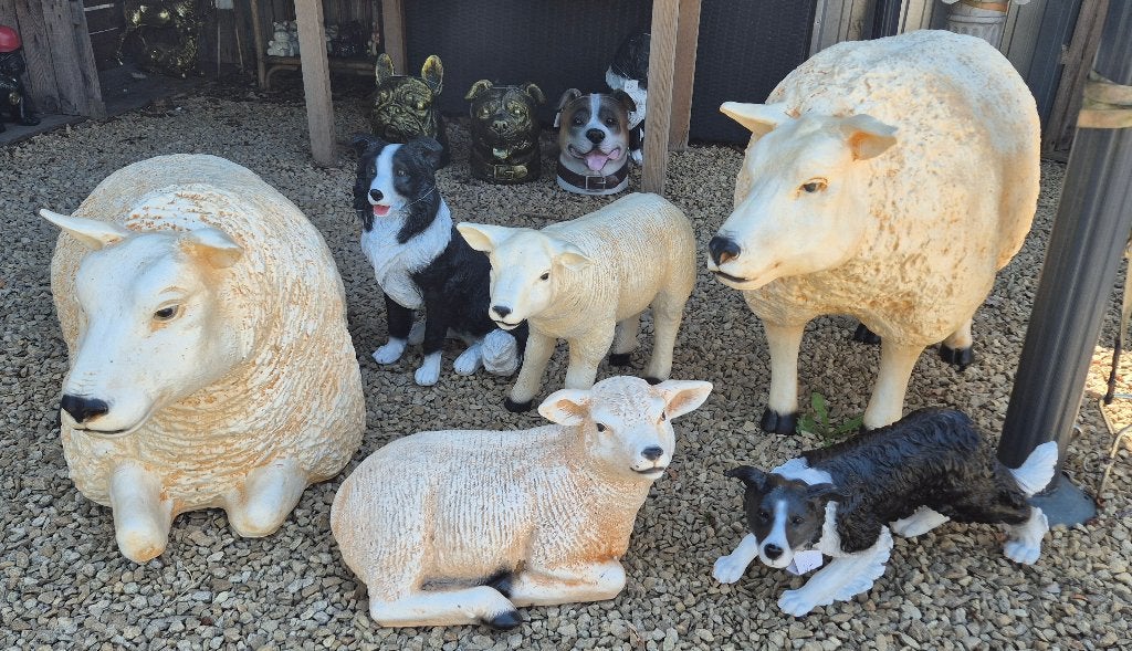 Texels , schapen/lammen en border collie, Tuin en Terras, Tuinbeelden, Ophalen, Nieuw, Kunststof, Dierenbeeld