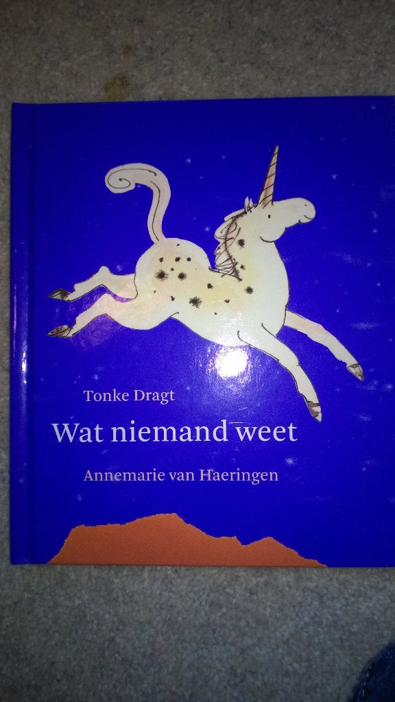 Boek - 297 - Wat niemand weet - Tonke Dragt, Ophalen of Verzenden, Zo goed als nieuw