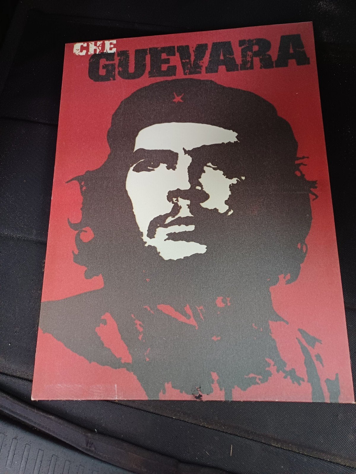 Che Guevara Canvas Print - 40x30 cm, Minder dan 50 cm, Gebruikt, Ophalen of Verzenden, Print