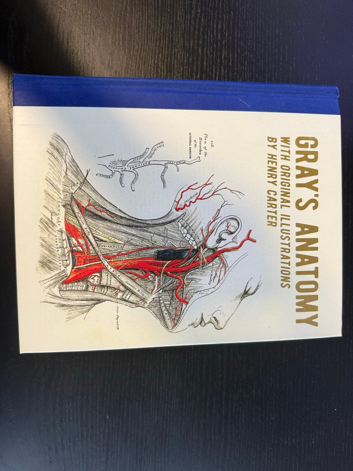 Gray's Anatomy: Klassiek Anatomieboek met Illustraties, Boeken, Ophalen of Verzenden, Zo goed als nieuw, Natuurwetenschap