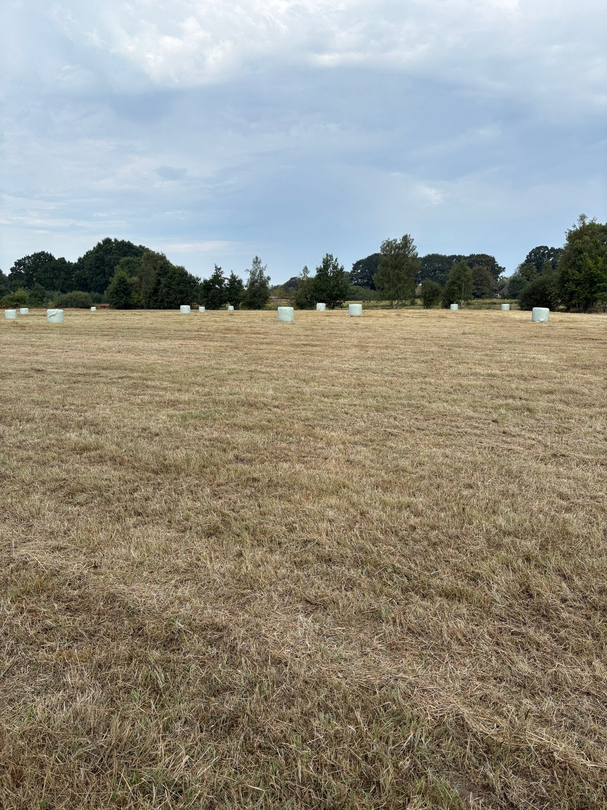 Midi balen kruidenrijk natuurhooi, Ophalen