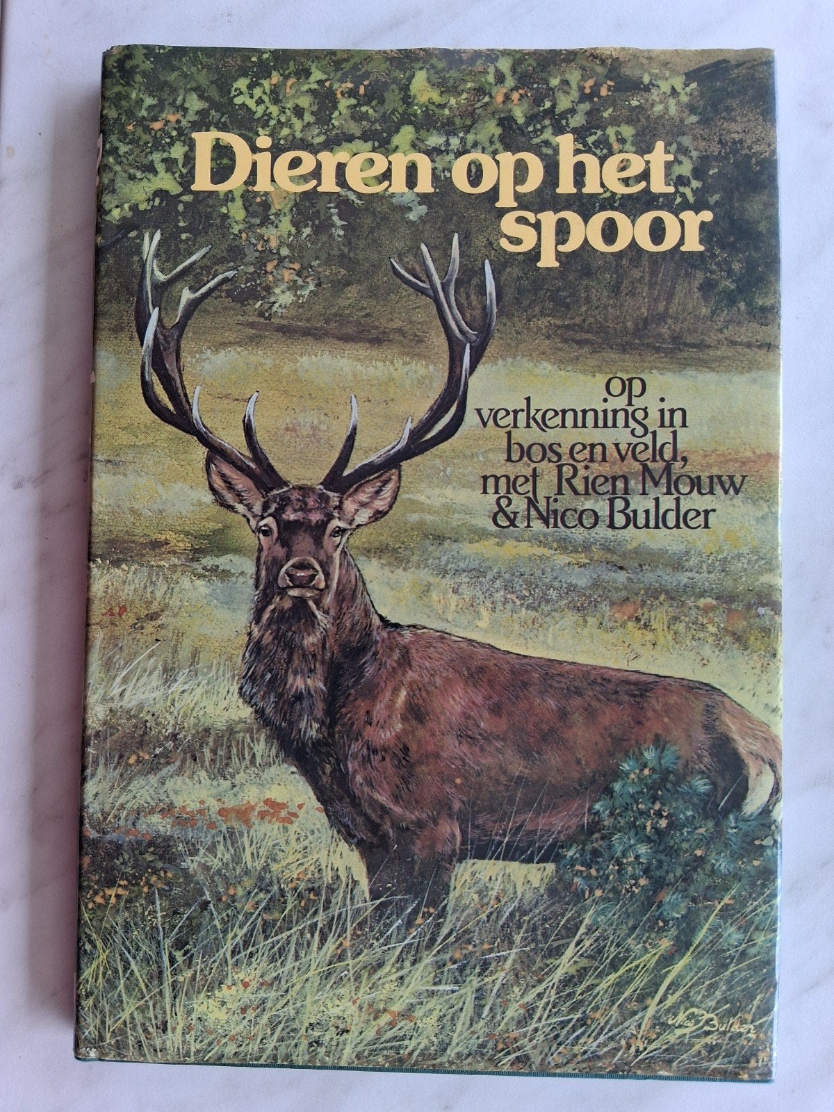 Dieren op het spoor 0p verkenning in bos en veld met, Boeken, Rien Mouw, Nieuw, Ophalen of Verzenden, Natuur algemeen