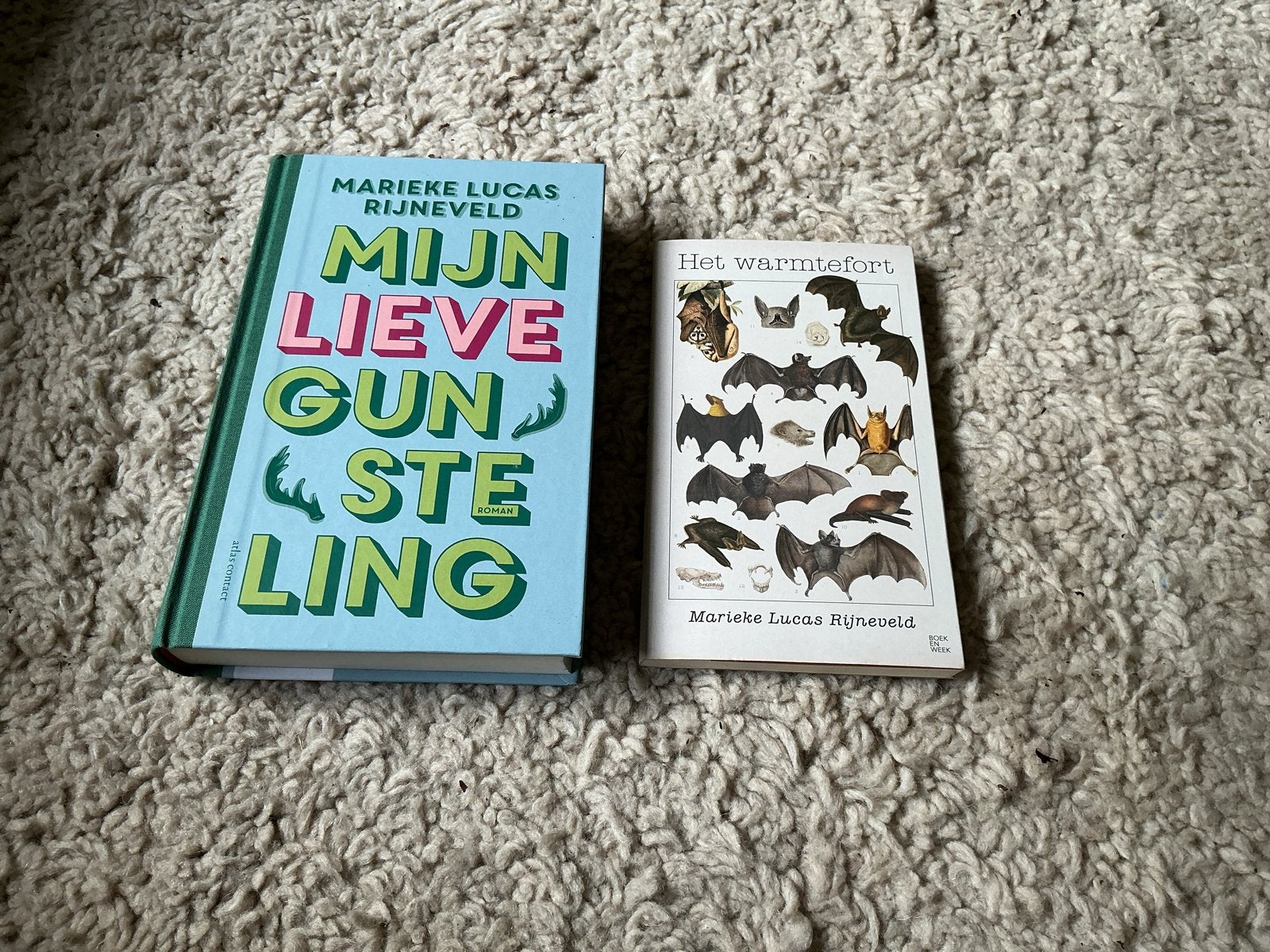 Mijn lieve gunsteling & Het warmtefort - Marieke Rijneveld, Boeken, Romans, Zo goed als nieuw, Nederland, Ophalen of Verzenden