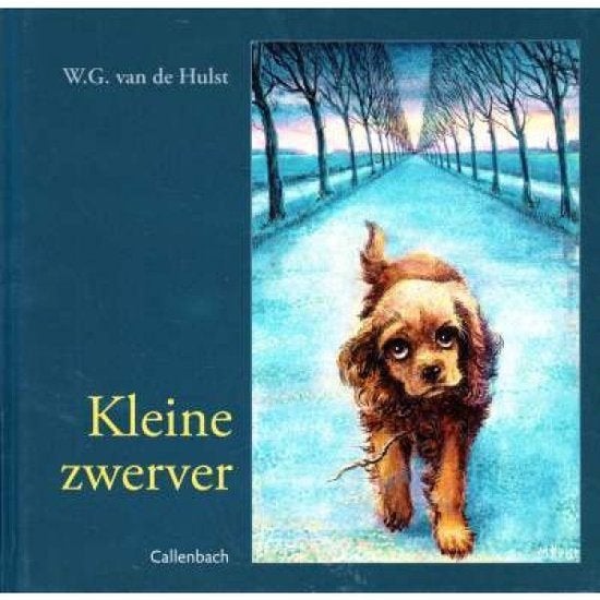 Kleine Zwerver W.G. van de Hulst 9789026642500, Ophalen of Verzenden, Zo goed als nieuw, W.G. van de Hulst