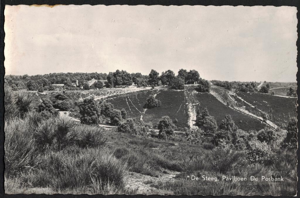 De Steeg, Paviljoen De Posbank., Ophalen of Verzenden, 1940 tot 1960, Ongelopen, Gelderland