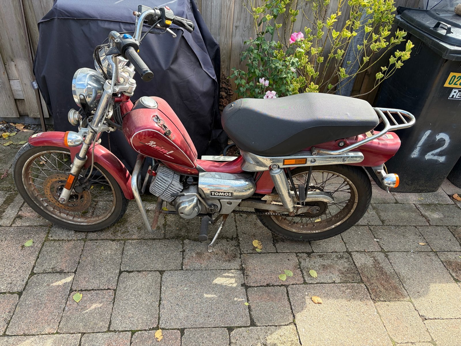 Tomos Revival  project brommer, Fietsen en Brommers, Brommers | Tomos, Ophalen, Gebruikt, Maximaal 45 km/u, 0 versnellingen