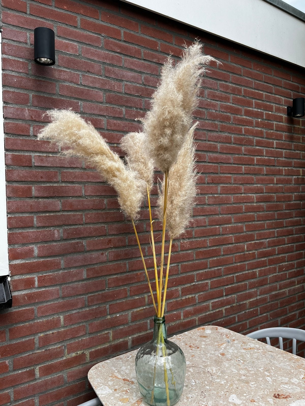 Grote glazen vaas met pampas pluimen, Ophalen, Inclusief decoratie, Groen, Glas