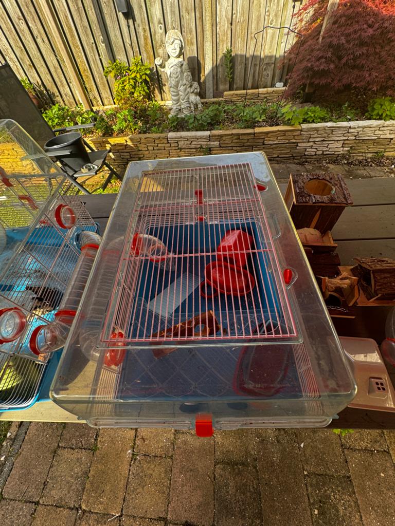 Hamster kooien en accessories, Kooi, Minder dan 75 cm, Hamster, Ophalen