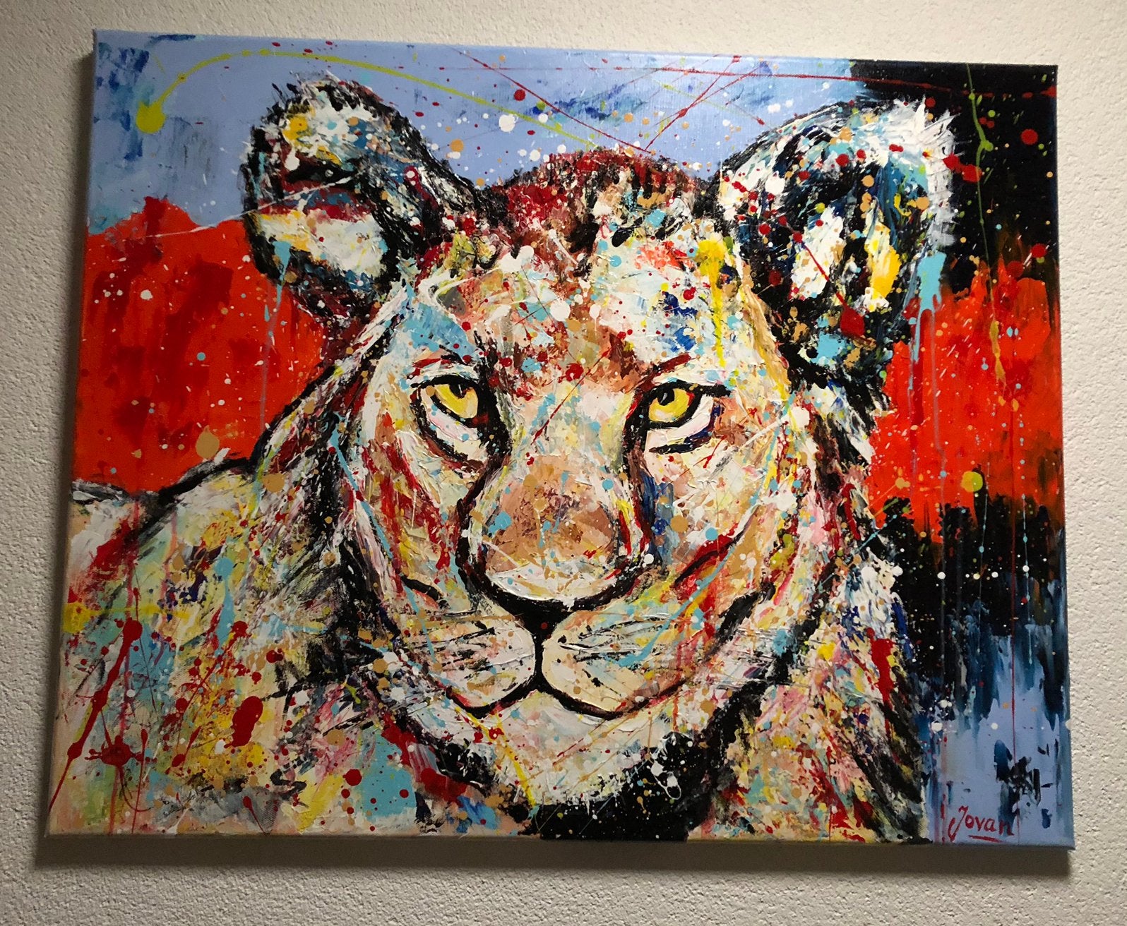 Lioness Jovan Srijemac, Ophalen
