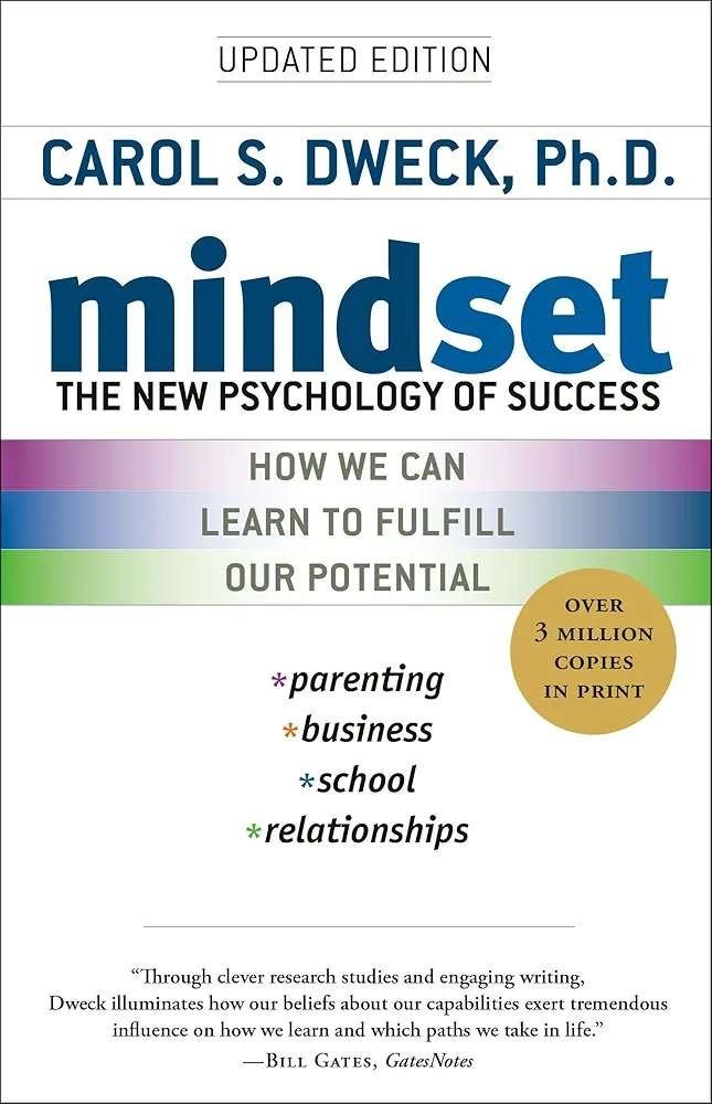 Mindset, Boeken, Ophalen of Verzenden, Zo goed als nieuw
