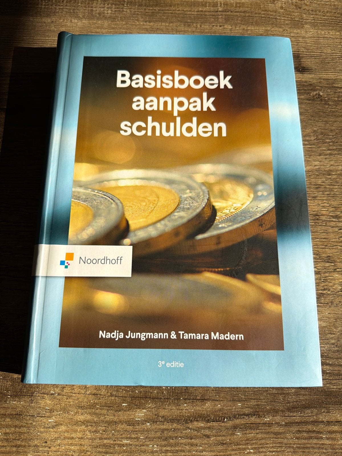 Basisboek aanpak schulden - Nadja Jungmann & Tamara Madern, Ophalen of Verzenden, Gamma, Zo goed als nieuw, HBO