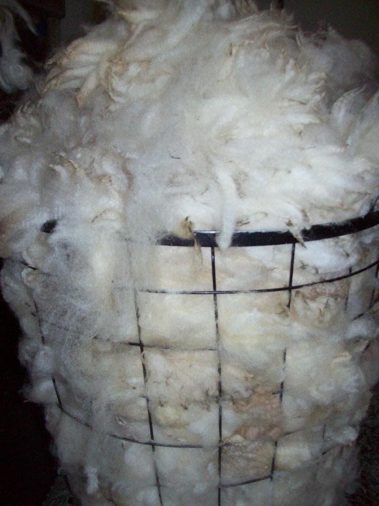 schapenwol zachte Spinwol spinnen spinnewielen nagezien 2kg, Hobby en Vrije tijd, Spinnewielen en Spinnen, Ophalen of Verzenden