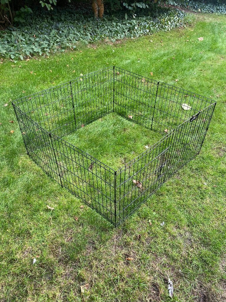 Dierenren zwart hondenren, Ophalen of Verzenden