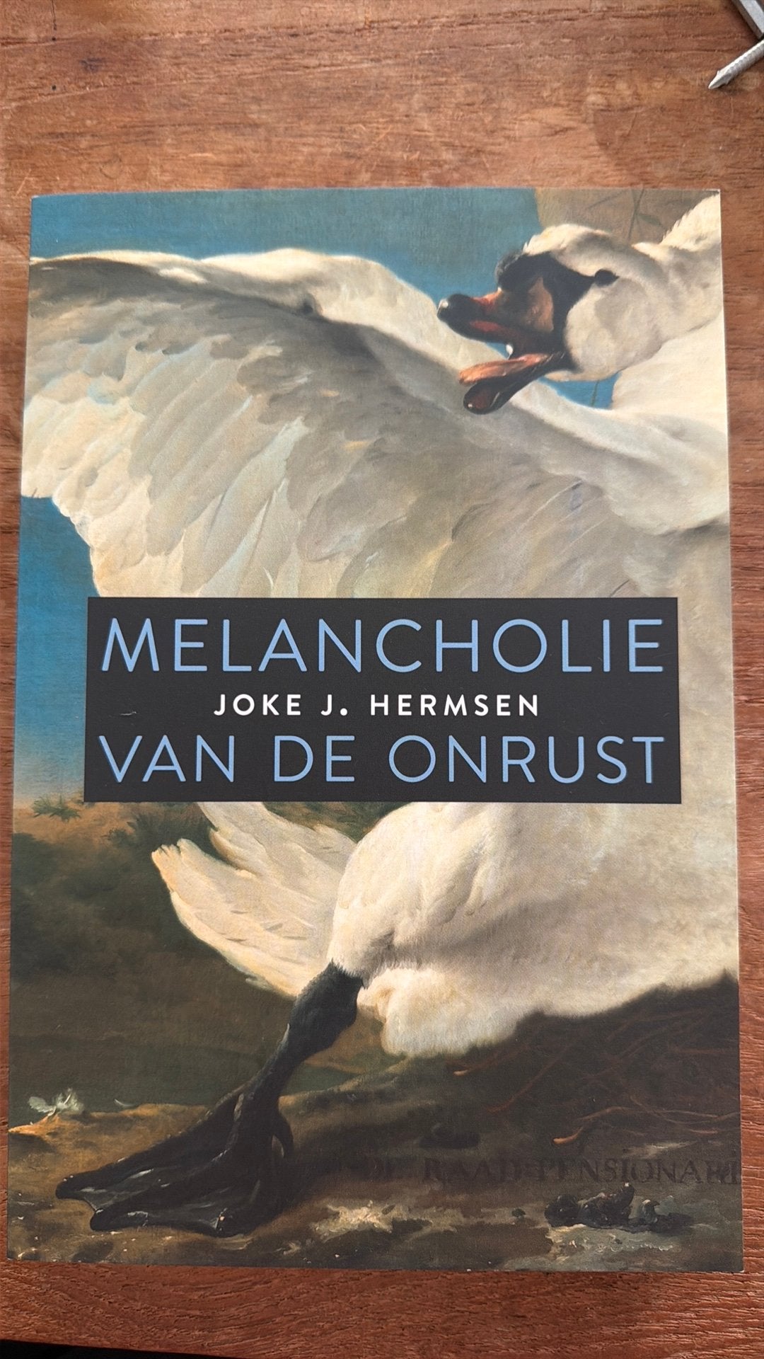 Joke J. Hermsen - Melancholie van de onrust, Boeken, Filosofie, Zo goed als nieuw, Ophalen of Verzenden