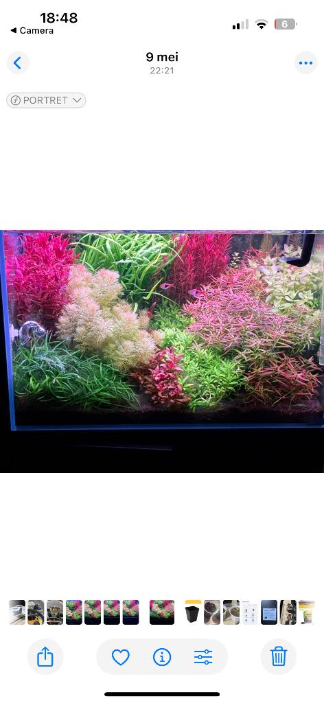 Aquarium met top techniek, Ophalen, Inclusief vissen, Zo goed als nieuw, Leeg aquarium