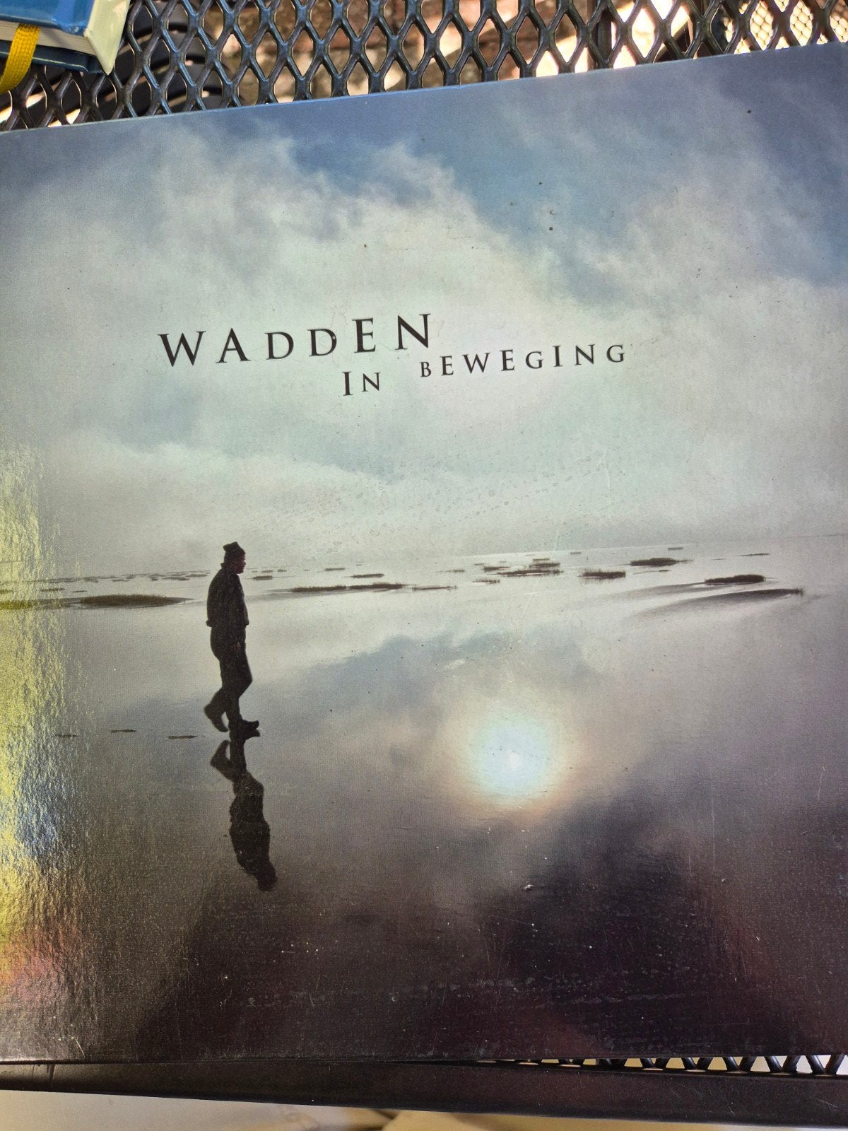 Wadden in Beweging - Prachtig Natuurboek, Ophalen of Verzenden