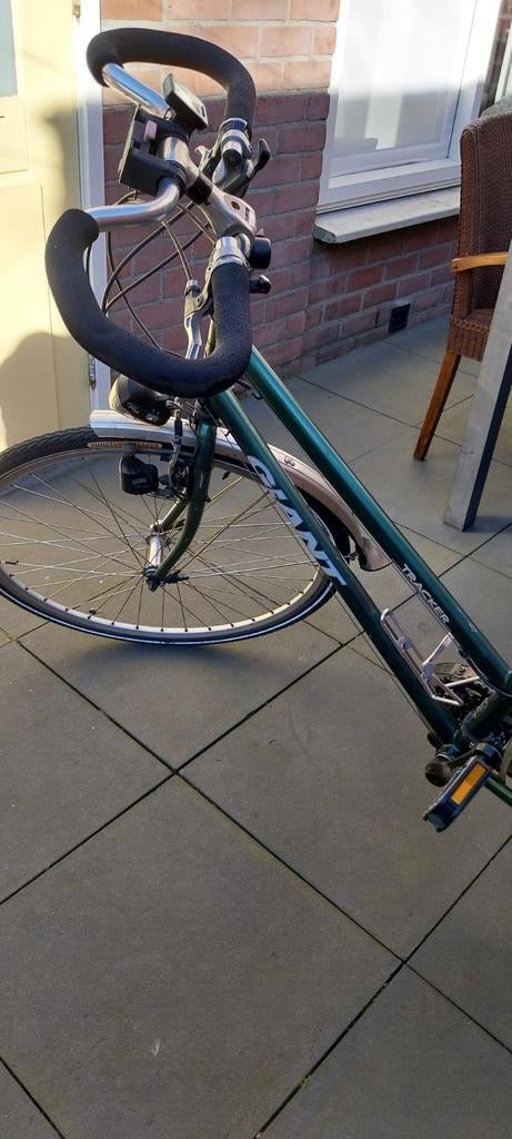 Giant Tracker Damesfiets - Groen, Ophalen, Gebruikt, Velgrem, Versnellingen