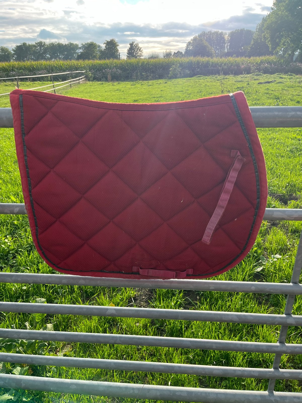 Hele lading dekjes te koop, Dieren en Toebehoren, Full (L), Ophalen of Verzenden, Gebruikt, Dressuurdekje
