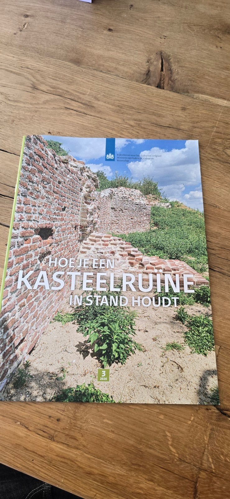Hoe je een Kasteelruïne in Stand Houdt - Tijdschrift, Ophalen of Verzenden, Zo goed als nieuw, Overige typen