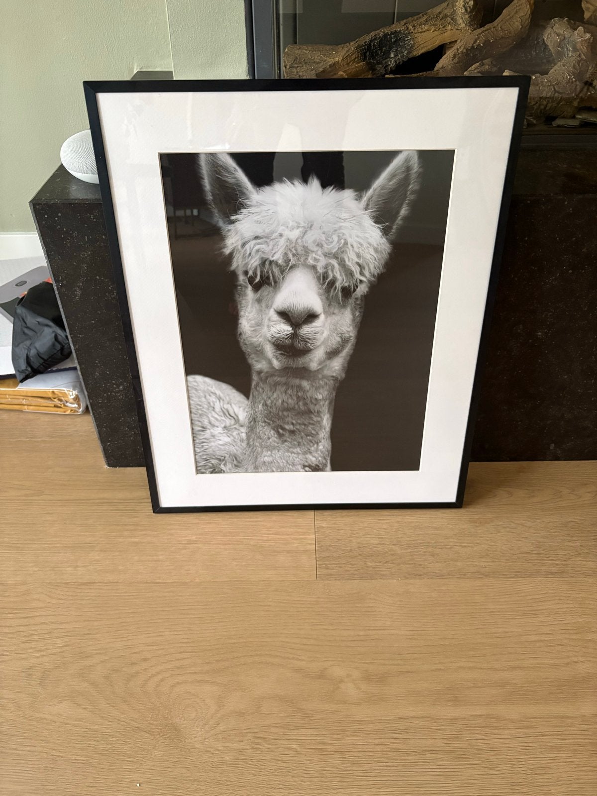 Ingelijste zwart-wit foto van een alpaca, Ophalen, Zo goed als nieuw, Overige onderwerpen