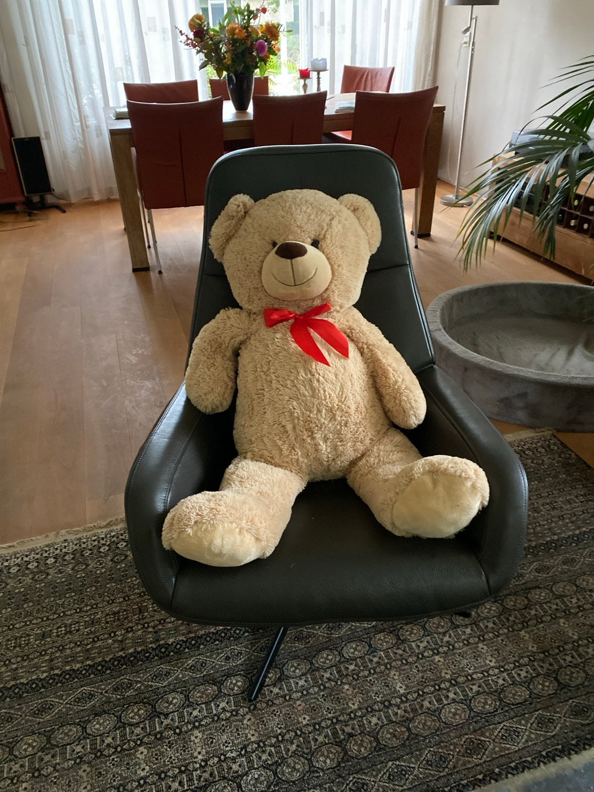 Grote knuffelbeer - Gratis af te halen, Ophalen, Gebruikt, Beer, Beige