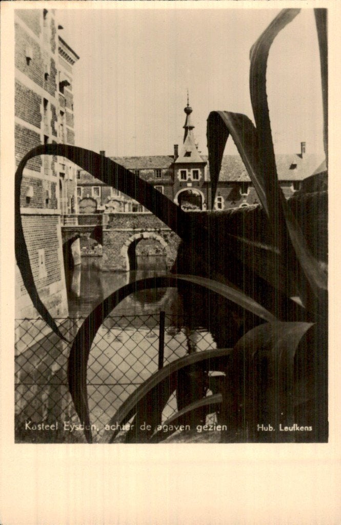 Eysden - Kasteel - achter de agaven gezien, Ophalen of Verzenden, 1920 tot 1940, Ongelopen, Limburg