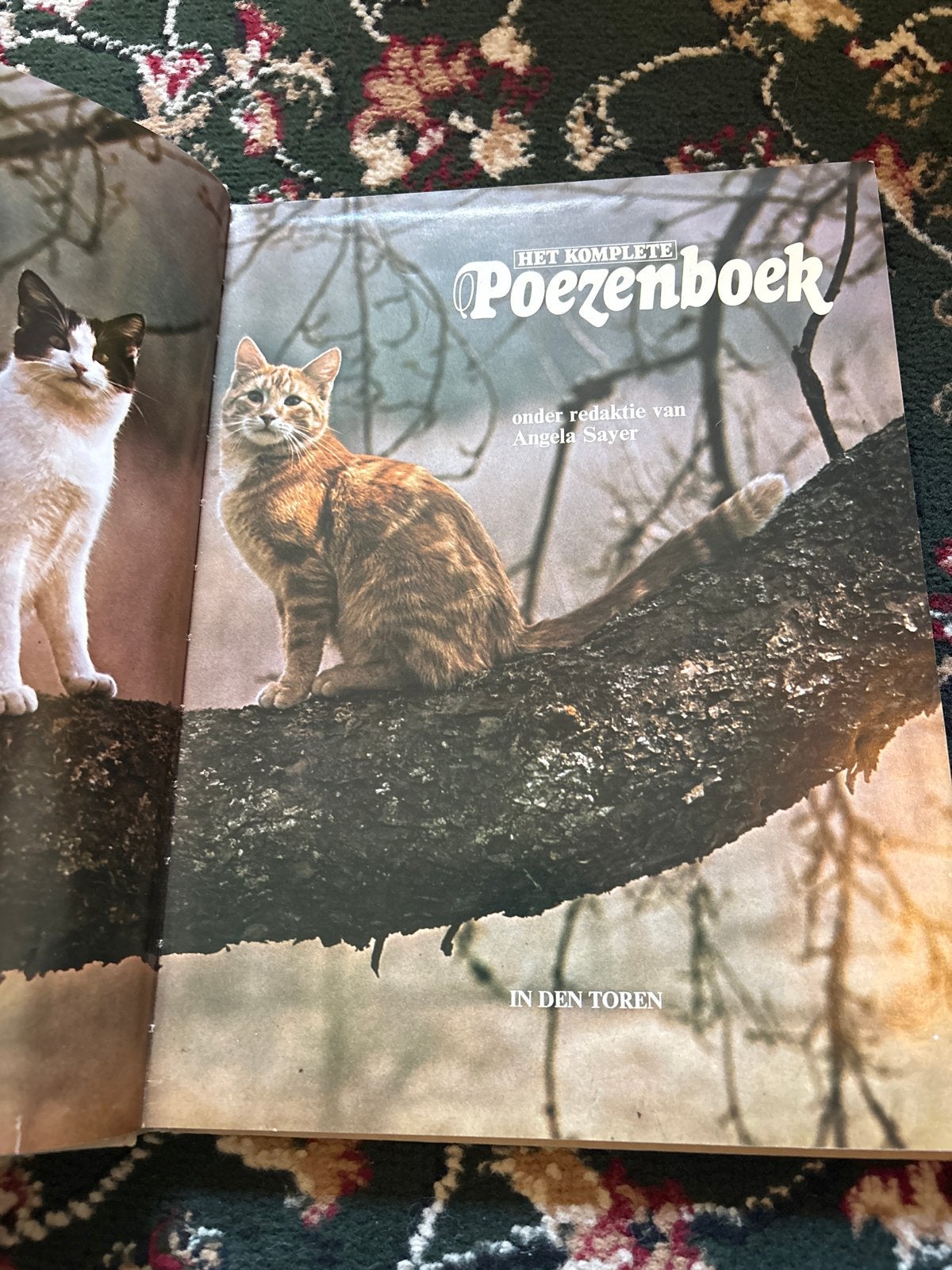 Het Complete Poezenboek - Angela Sayer, Ophalen of Verzenden, Gelezen, Katten