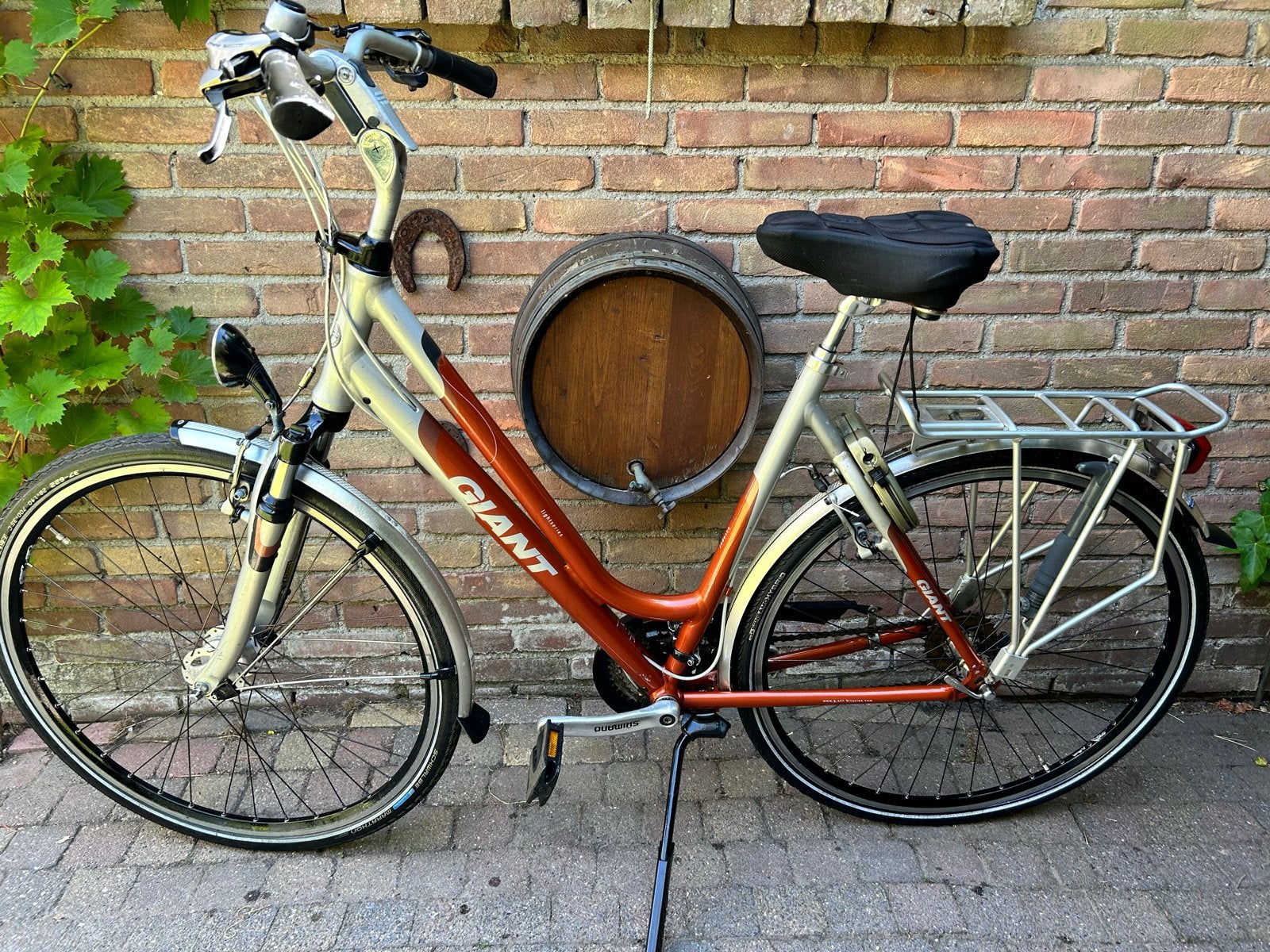 Giant Escaper DX Damesfiets - Aluminium, 21 versnellingen, Fietsen en Brommers, Fietsen | Dames | Damesfietsen, Ophalen, Versnellingen