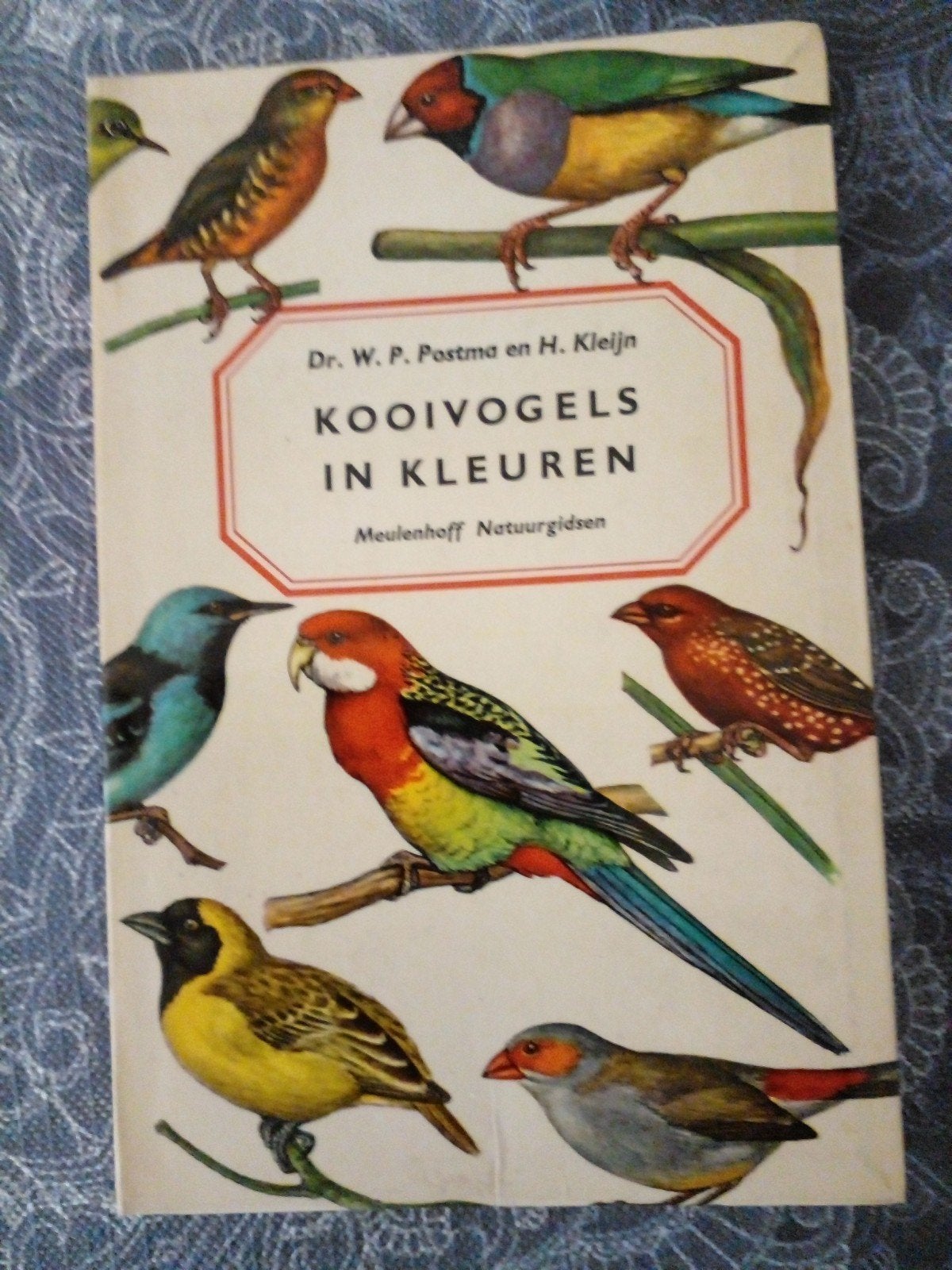 Kooivogels in Kleuren - Meulenhoff Natuurgidsen, Boeken, Natuur, Verzenden, Gelezen, Vogels, Dr. W.P. Postma en H. Kleijn