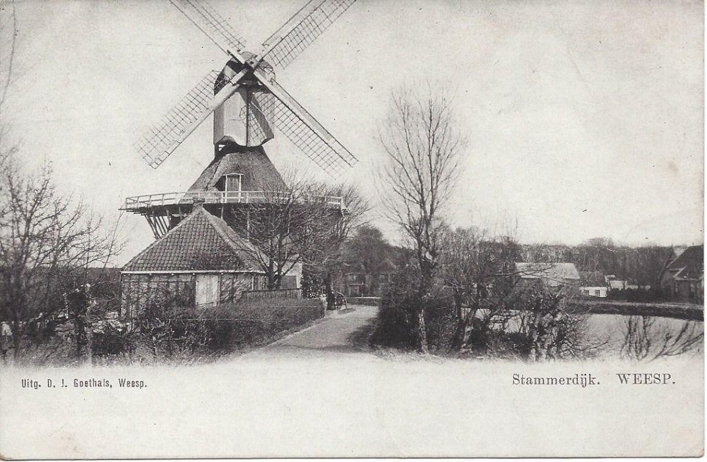 Weesp (N.H.) Stammerdijk, Dorpsgezicht, Molen, ca. 1900, Ophalen of Verzenden, Voor 1920, Ongelopen, Noord-Holland