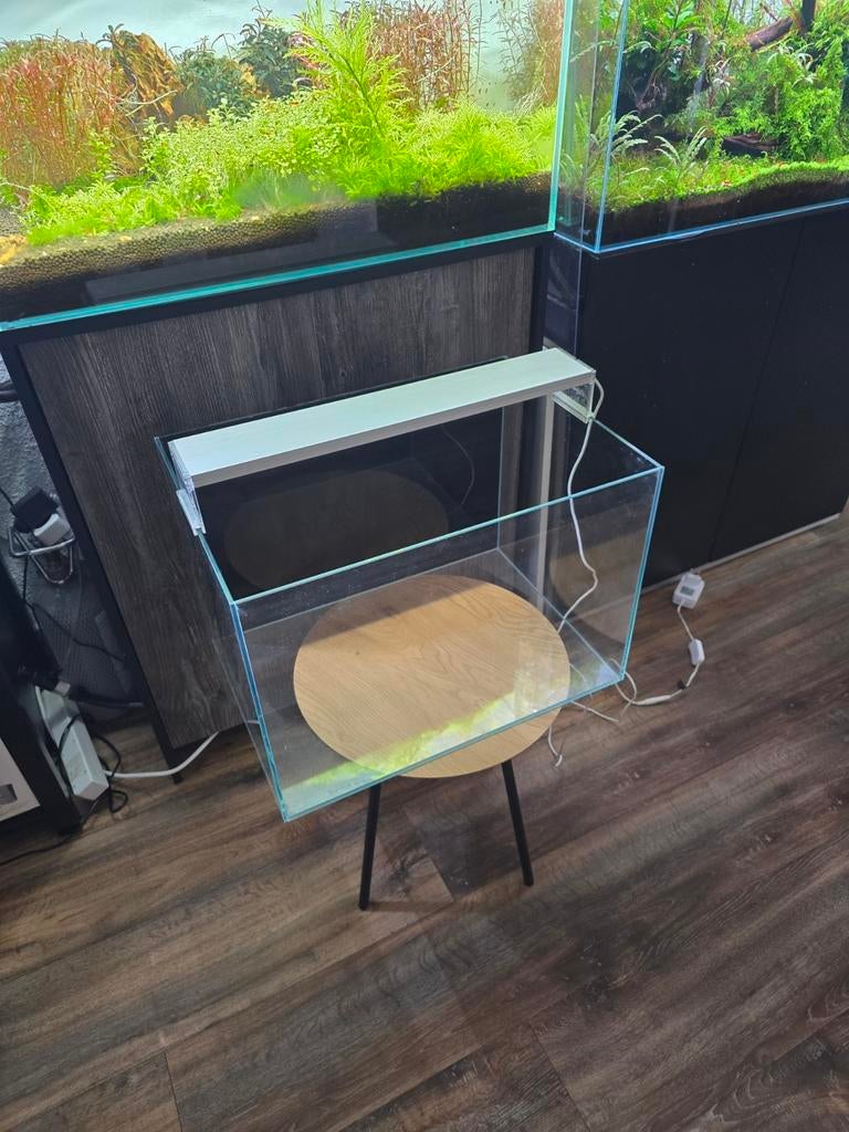 Superfish Scaper 60 Aquarium. 50x35x35, Dieren en Toebehoren, Vissen | Aquariumvissen, Vis, Zoetwatervis, Schoolvis